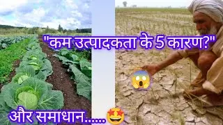 Causes of low productivity in indian agriculture/ measures to increase agriculture productivity
