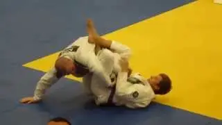 Sean Coates vs Ben Hodge - English BJJ Open 2015 - Purple Adult - Heavy