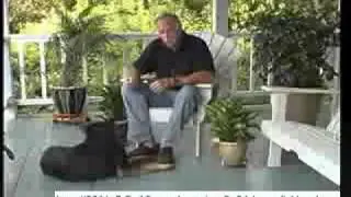 Basic Dog Obedience Training DVD
