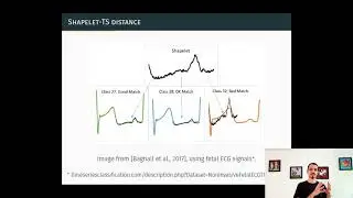 Hardware Accelerator for Shapelet Distance Computation in Time-Series Classification (SBCCI 2020)