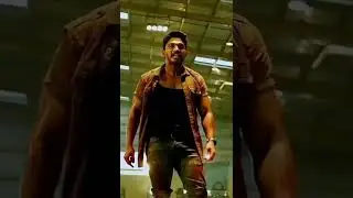 Sarrinodu mass dialogue | Allu Arjun mass warning