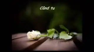 In aceasta zi o voce blanda are un mesaj pentru tine