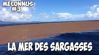 M&Eacute;CONNUS #3 : LA MER DES SARGASSES