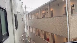 [ミュージシャンの日常vlogS8#77]一派も外に出てないけど中も大荒れだった日の話