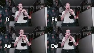 Rondo Alla turca - Turkish March clarinet