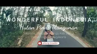 Wisata Hutan Pinus Mangunan - Yogyakarta | Honda C70 Pitung Traveler