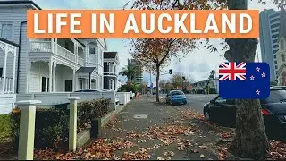 Bus, Train, Driving, Neighborhoods | Life in Auckland | New Zealand | Weekly VLOG | #3