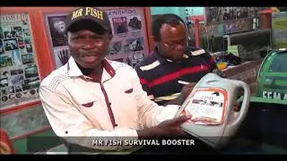Reduce Your Fingerlings Mortality by Using Mr Fish Survival Booster