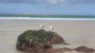 Kogelbaai beach and 