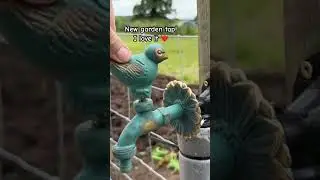Wow! Fancy Garden Tap! #gardenideas #garden #gardenfeature #tap #allotment #vegetablegarden #shorts
