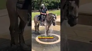 Heartwarming Texas Police Officer & Horse Beat the Heat in Style! ❤️ #shorts