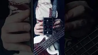 VARIABLE CROSSOVER BASS FILTH #bass #bassfuzz #basseffects