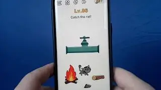 Brain Out Catch the rat