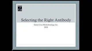 SantaCruzWeb: How to Choose the Right Antibody-Frm Sel to App: Ensuring Optimal Antibody Performance