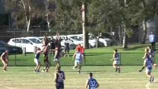 St. Bede's/Mentone Tigers 2015 Marks of the Year