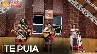 Te Puia | New Zealand | World Culture Network