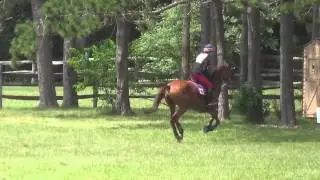 Anna Billings & Ain't Misbehavin' II at Groton House Farm Horse Trials 2014