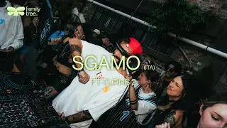 SGAMO | Family Tree | FT TURNS 2 | LIVE MIX