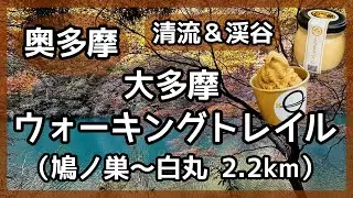 【奥多摩】大多摩ウォーキングトレイルをあるく（鳩ノ巣〜白丸）