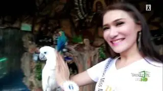 Miss mimosa queen thailand 2017