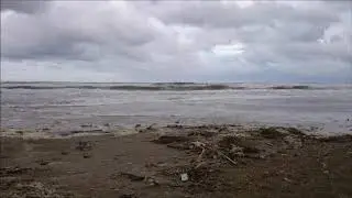 Un dia al Delta de l'Ebre