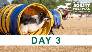 The Kennel Club International Agility Festival 2025 | Day 3 Main Ring