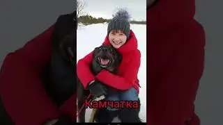Объехала уже больше 40 городов России. #массаж #дети #ортопед #топ #sports #kids #природароссии