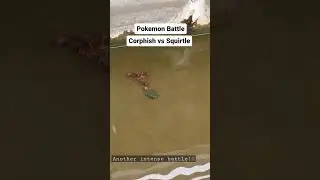 Pokemon Battle Real Life - Squirtle VS Corphish #shorts