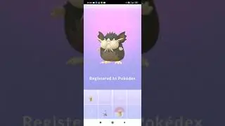 Evolution of Rattata into Raticat
