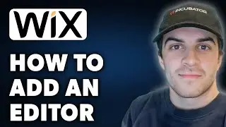 How to Add an Editor on Wix (Full 2024 Guide)