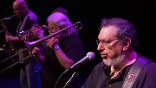 David Bromberg's Big Band - This Love Affair