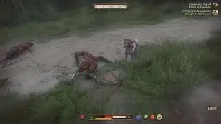 Kingdom Come: Deliverance II_20260119135449