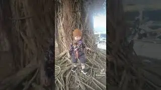 #fotovideo