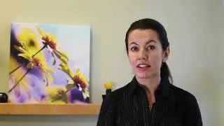What Is The Difference Between Prebiotics and Probiotics? Orasana&reg;