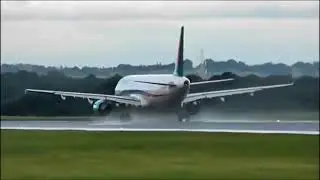 Bird Strike Compilation