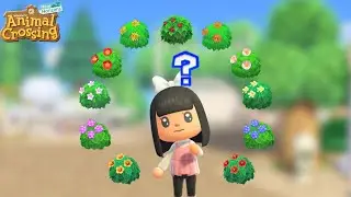 THE BEST WAY TO USE BUSHES ON A FOREVER ISLAND? | Animal Crossing New Horizons