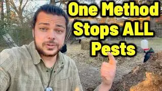 How Do You Stop Grasshoppers in a Permaculture Garden? (Q&A)