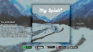 PRAI$ - My Spirit (prod. by dvmbo11) (Official Audio)