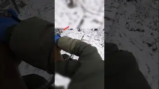 fox hunt perfect shot in snow #hunthowdown #foxhunter #foxhunting #hunting #huntingbuddy