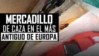 🔍 MERCADILLO en VERANO  🛒 BUSCANDO cosas SCALEXTRIC: Coches, carrocerías y accesorios 🌟