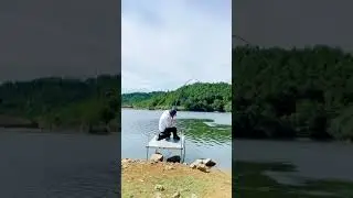 I caught the big fish🐟 Carp fishing🎣 Best fishing video #shorts #fishing