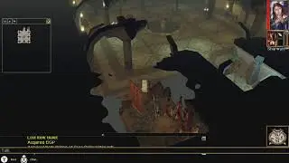 Neverwinter Nights Switch Gameplay 32