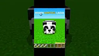 Minecraft Op Nametags 🤯💀#shorts#minecraft#viralshorts#