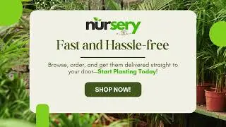 Welcome to Nursery Plant &ndash; your ultimate destination for premium plants and seedlings!