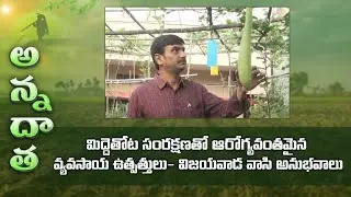 Desi Vegetables on terrace by Syam prasad of vijayawada | ETV Telugu