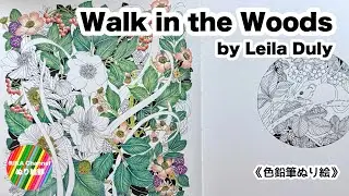 ✏️ぬり絵【Walk in the Woods by Leila Duly 】小花　赤い実　ベリー