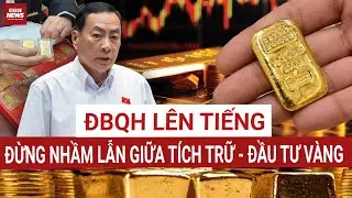 ĐBQH Phạm Văn Hòa cảnh báo: Đừng nhầm lẫn giữa tích trữ và đầu tư vàng | VTC News