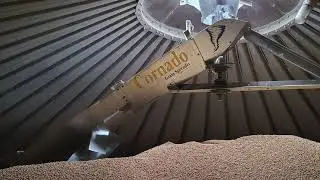 Cornado in Motion
