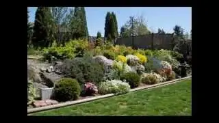 The Goodness Garden