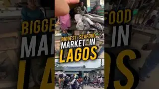 LAGOS, NIGERIA: I Explored The LARGEST SEAFOOD MARKET IN LAGOS | Epe Fish Market